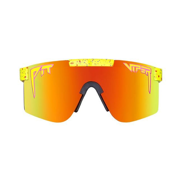 THE 1993 POLARIZED