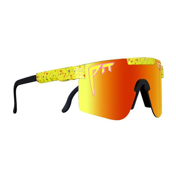 THE 1993 POLARIZED