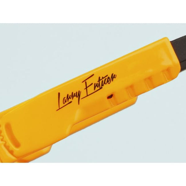 THE LARRY ENTICER