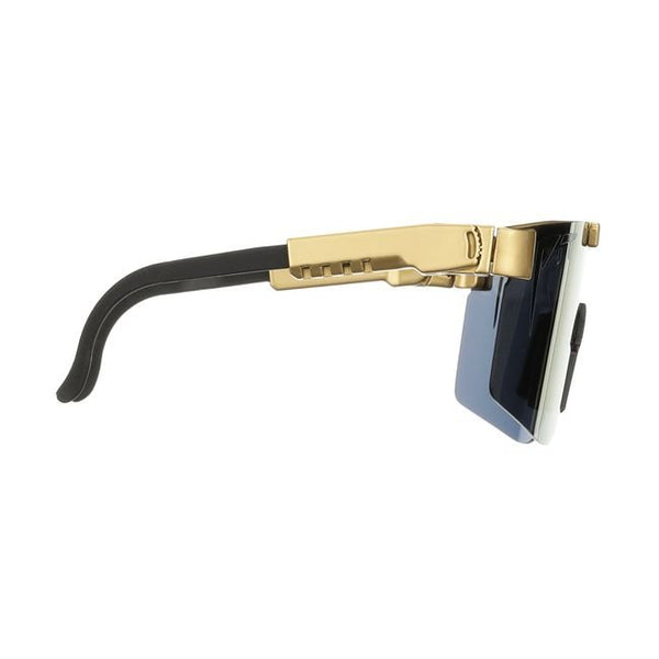 THE GOLD STANDARD POLARIZED